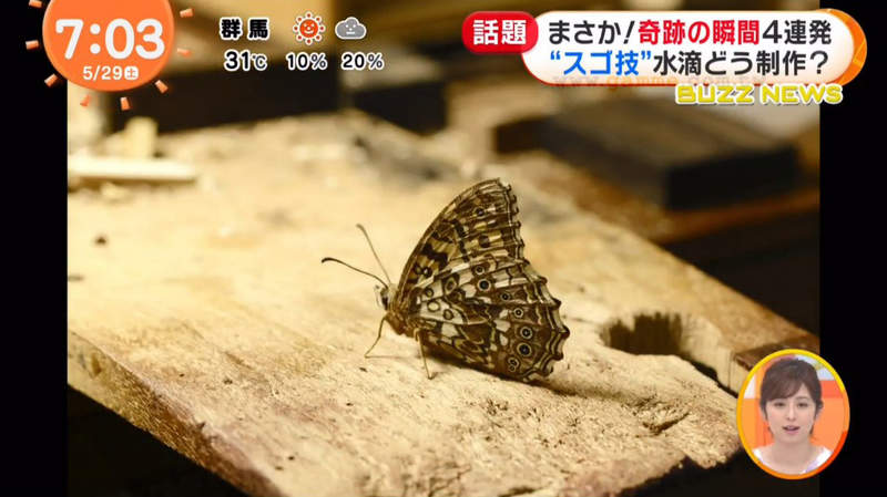圖片13 圖片13