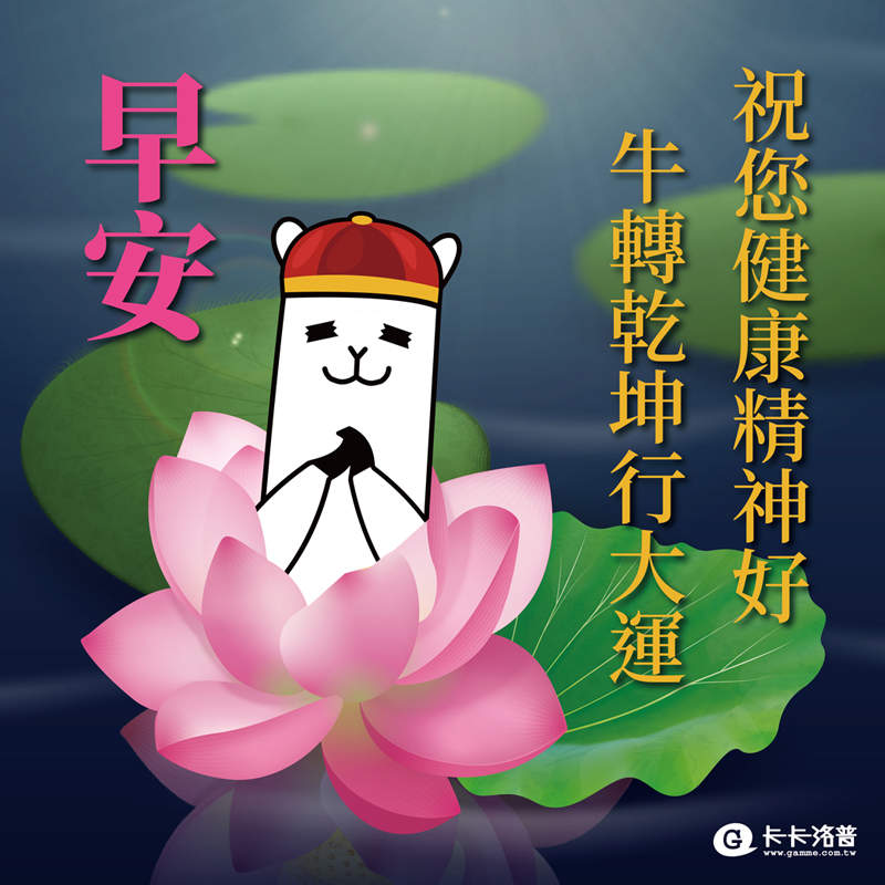 圖片11 圖片11