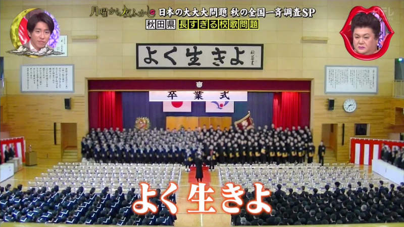 圖片11 圖片11