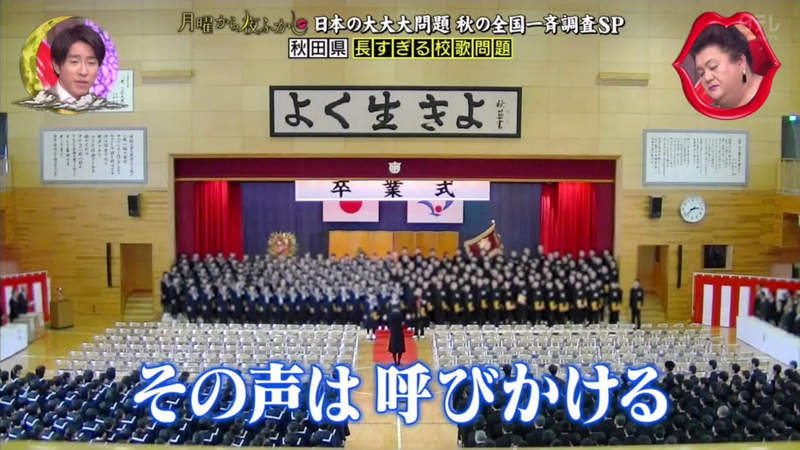 圖片13 圖片13