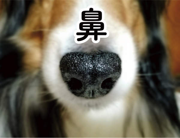 圖片4 圖片4