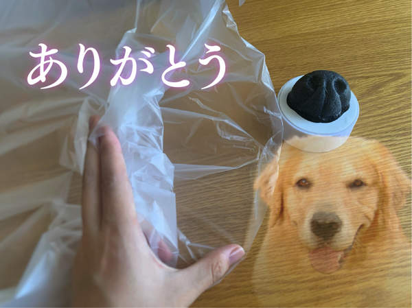 圖片14 圖片14