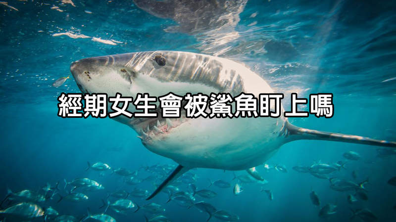 圖片18 圖片18