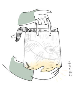 圖片5 圖片5