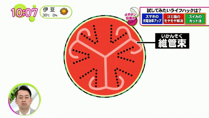 圖片30 圖片30