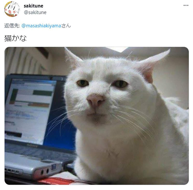 圖片6 圖片6