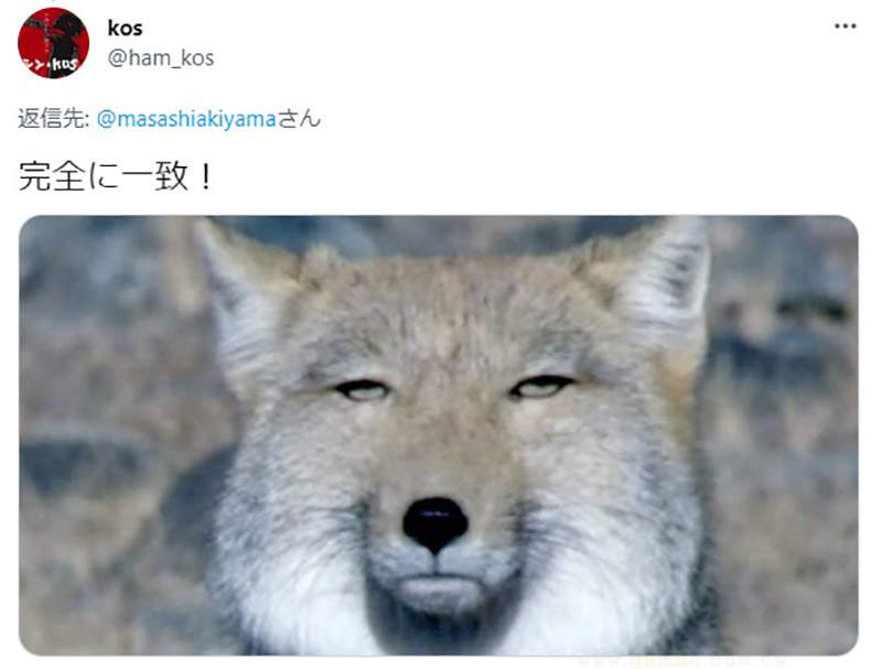 圖片7 圖片7