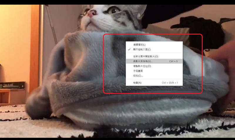 圖片10 圖片10