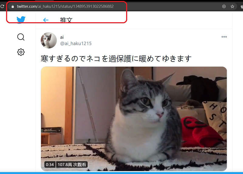 圖片8 圖片8