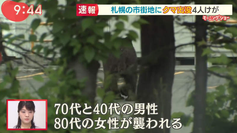 圖片4 圖片4