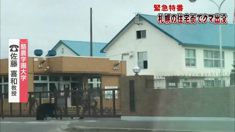 圖片7 圖片7