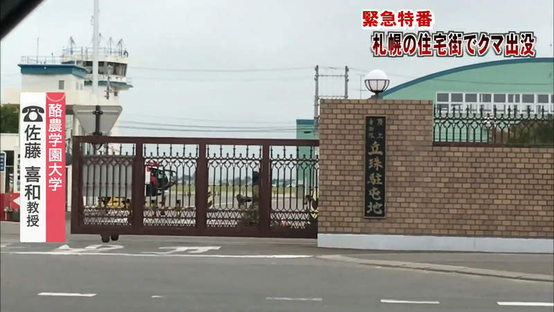 圖片8 圖片8
