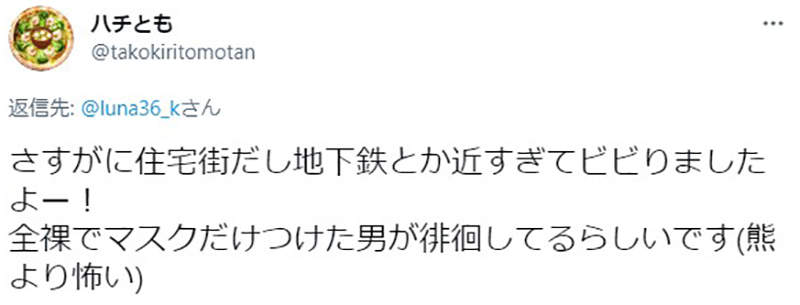 圖片17 圖片17