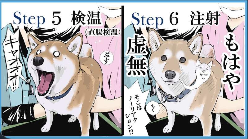 圖片4 圖片4