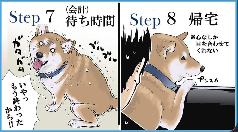 圖片5 圖片5
