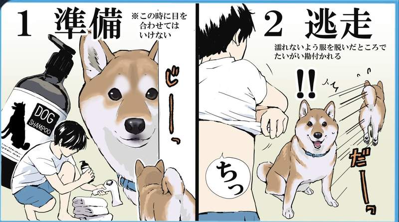 圖片6 圖片6