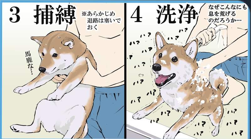 圖片7 圖片7