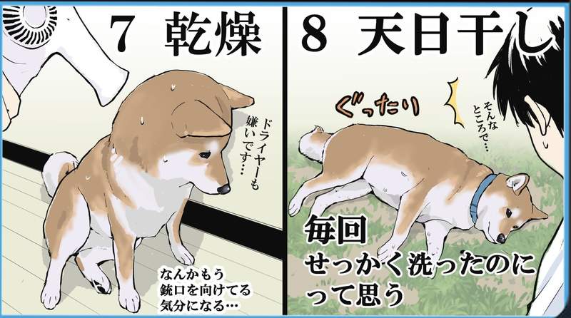 圖片9 圖片9