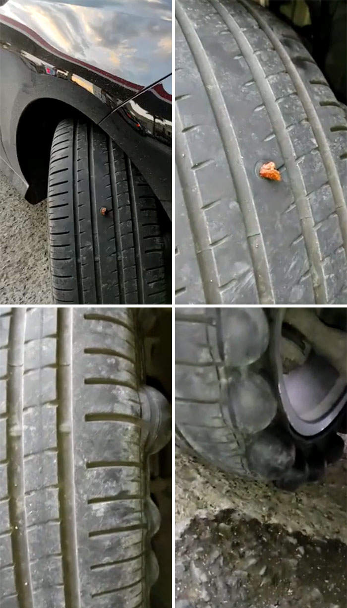 圖片17 圖片17