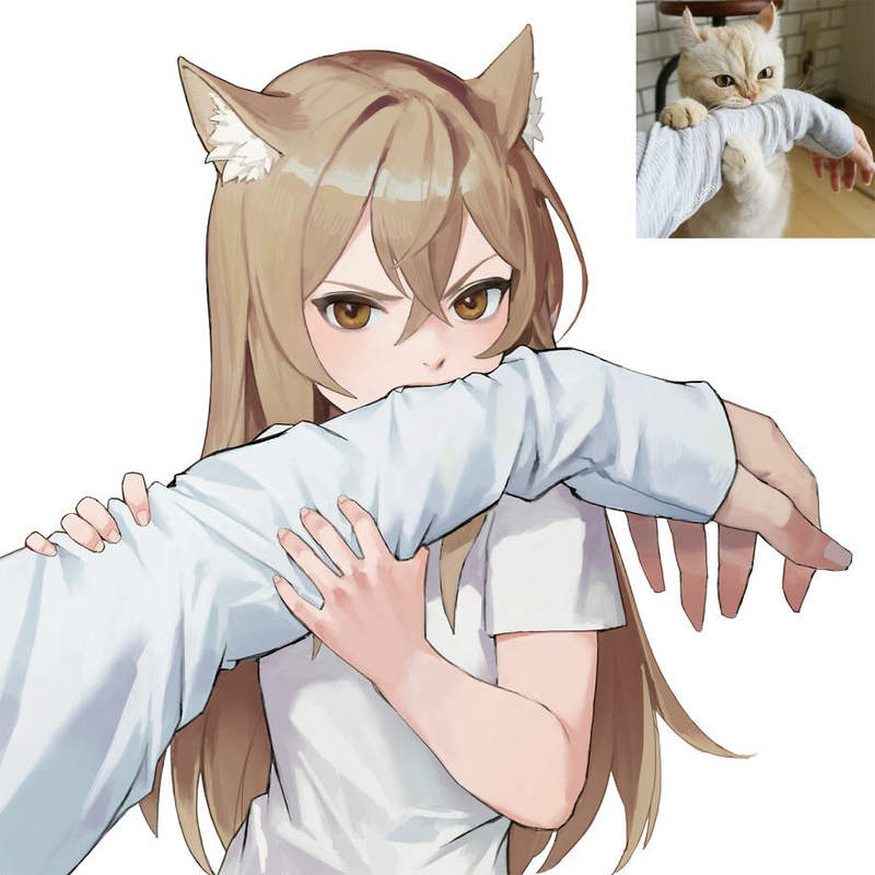 圖片5 圖片5