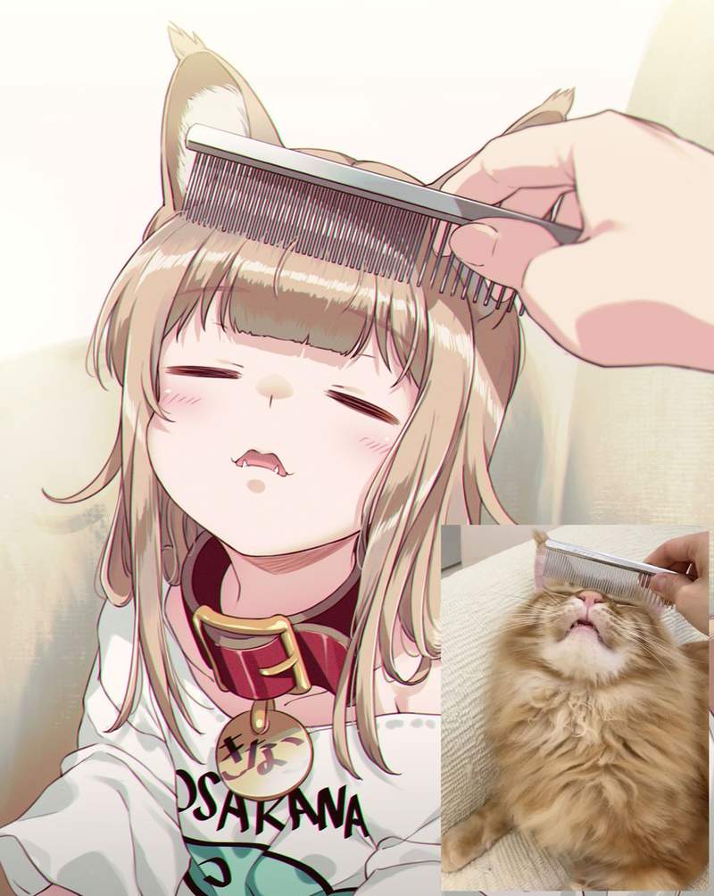 圖片11 圖片11
