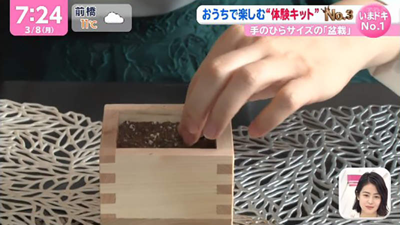 圖片12 圖片12