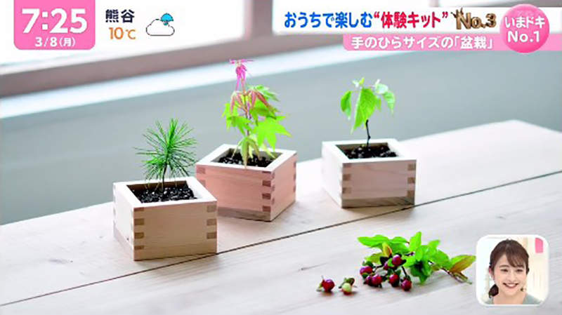 圖片14 圖片14