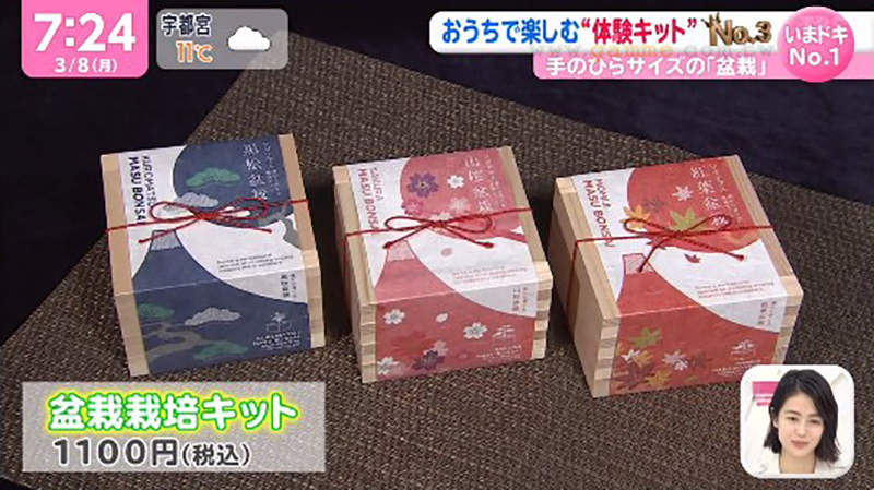 圖片8 圖片8