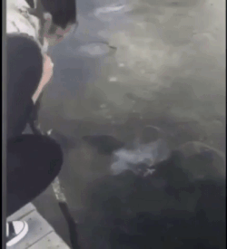 圖片11 圖片11