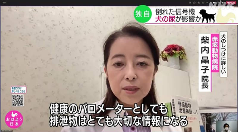 圖片15 圖片15