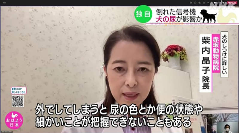 圖片16 圖片16