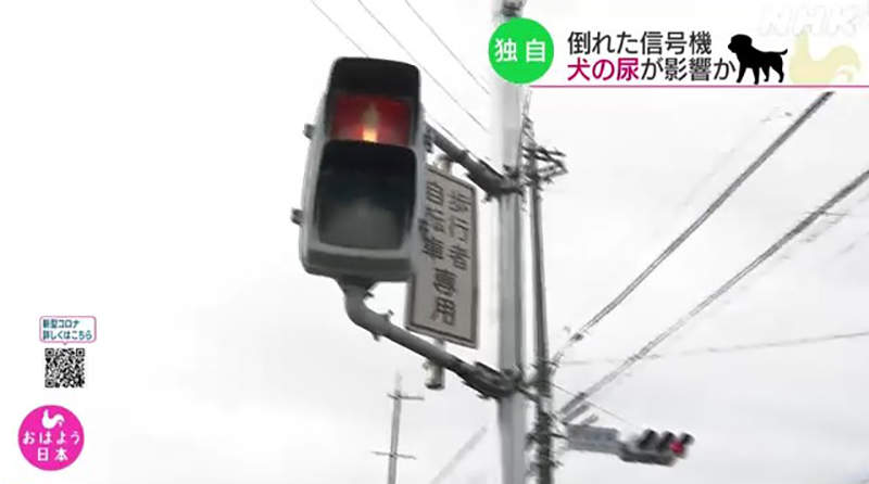圖片4 圖片4