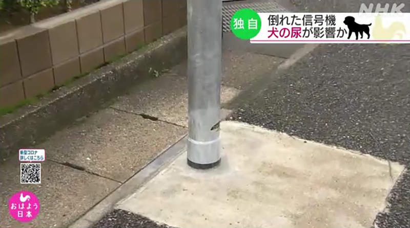 圖片5 圖片5