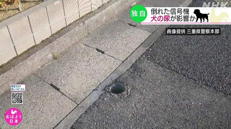 圖片6 圖片6