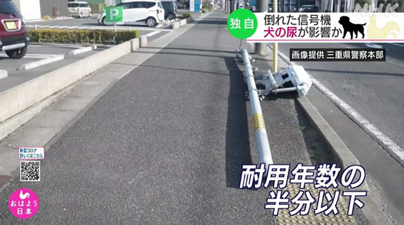 圖片7 圖片7
