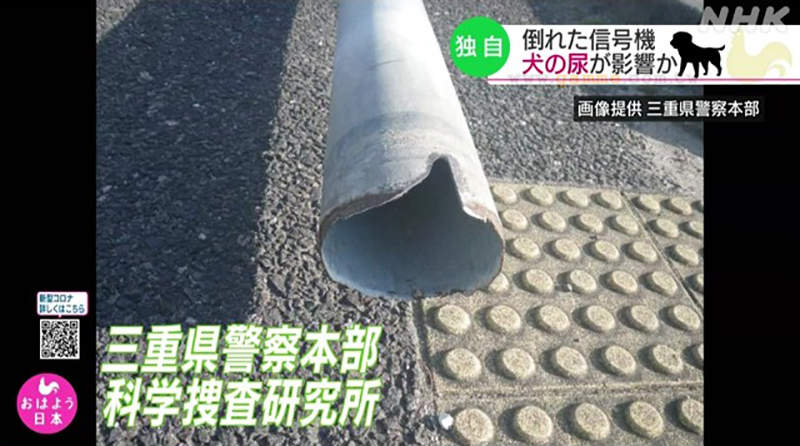 圖片8 圖片8