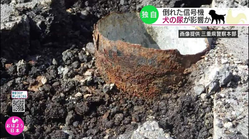 圖片9 圖片9