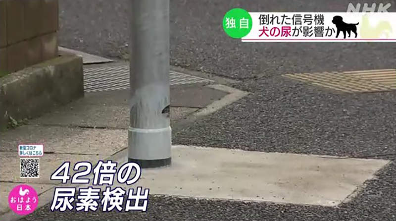 圖片10 圖片10
