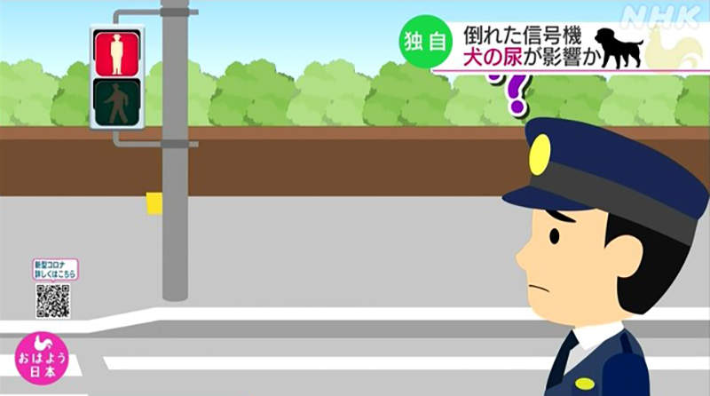 圖片11 圖片11