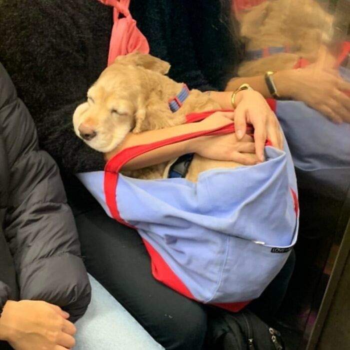 圖片7 圖片7