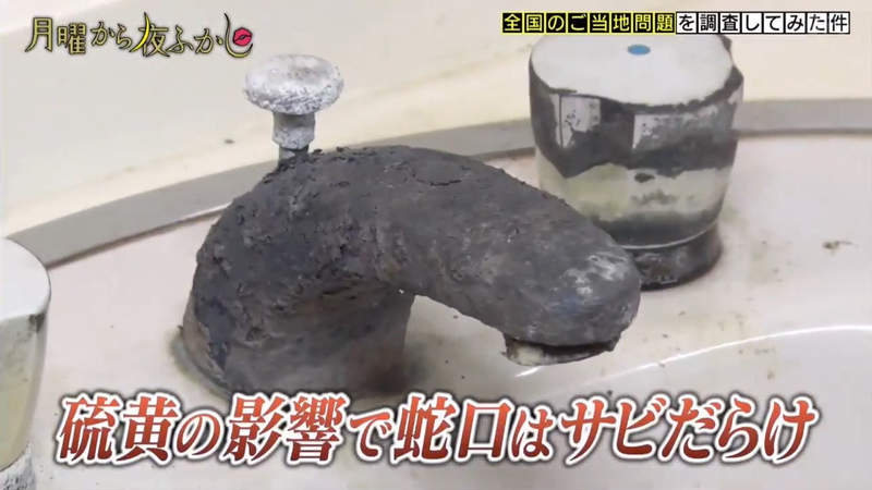 圖片19 圖片19