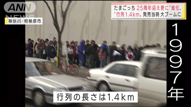 圖片10 圖片10