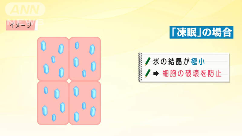圖片20 圖片20
