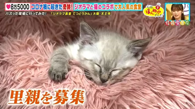 圖片30 圖片30