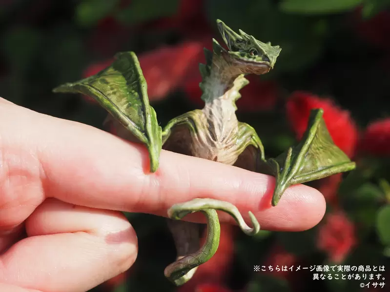 圖片9 圖片9