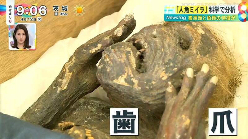 圖片5 圖片5