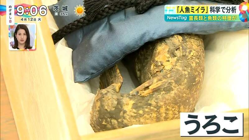 圖片6 圖片6