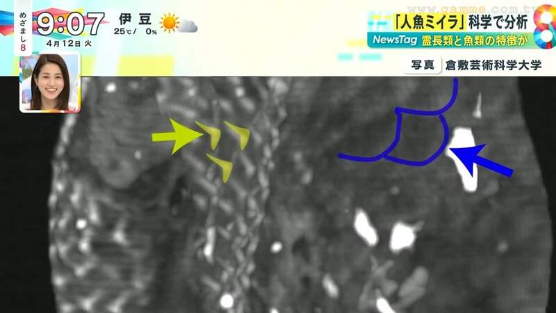 圖片9 圖片9