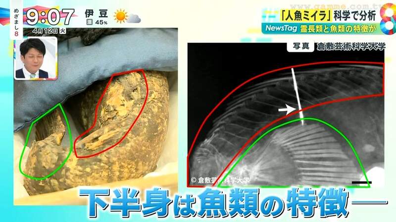 圖片10 圖片10