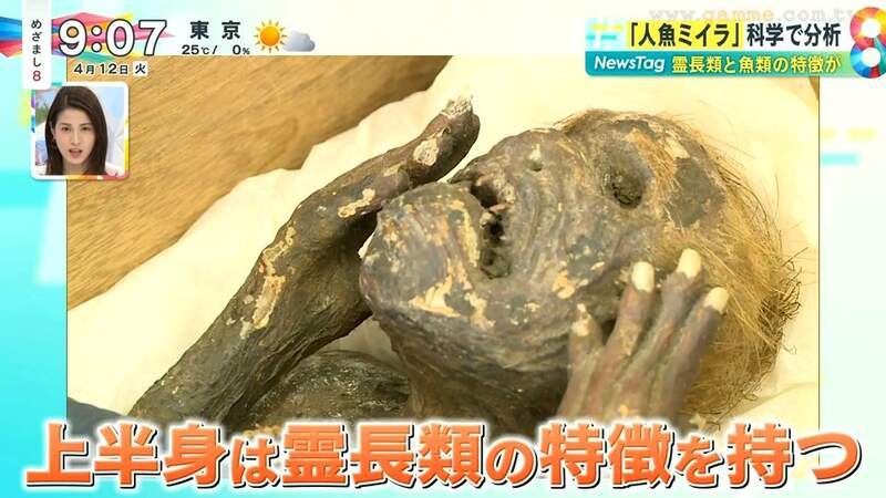 圖片11 圖片11